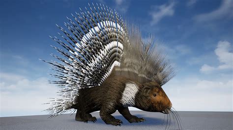 Porcupine In Characters Ue Marketplace