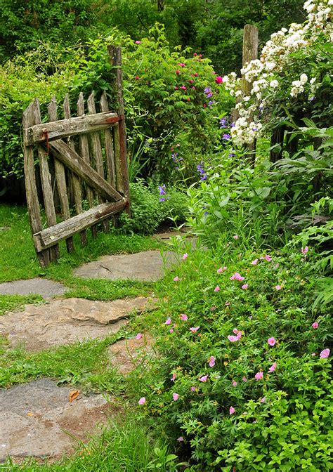 The Cottage Garden Walkway Photograph By Expressive