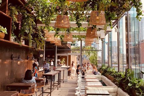 Cactus club is very casual fun chain restaurants thought out the mainland ,also in the island too , i have been dinning at different cactus restaurants for long time ,special in toronto ,edmonton ! Guide: 7 year-round patios in Toronto for any weather ...