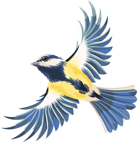 Flying Bird Clipart Free Download Best Flying Bird Clipart On