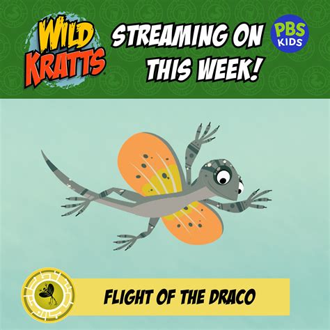 Wild Kratts Wild Kratts Episodes Streaming On The Pbs Facebook