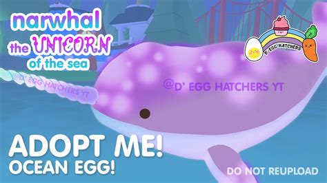 Narwhal Ocean Pet In The Ocean Egg Adopt Me Update Roblox Youtube