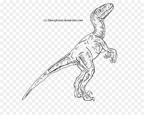 Velociraptor Jurassic World Blue Para Colorear Porn Sex Picture
