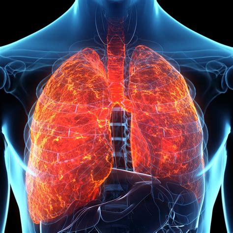 Chronic Obstructive Pulmonary Disease Chasing The Cure