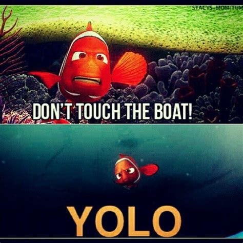 When Nemo Decides To Touch The Boat Yolo Humor Funny Quotes