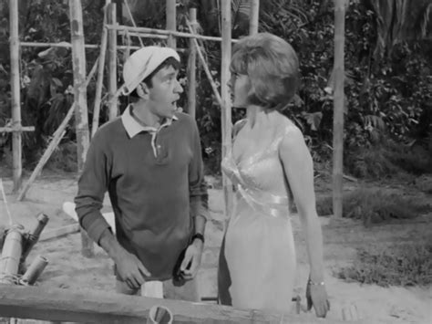 Reviewing Every Tv Show I Own Gilligans Island Home Sweet Hut