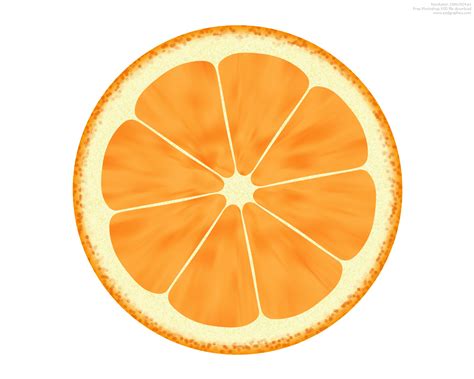 Orange Slices Clipart Free Download On Clipartmag