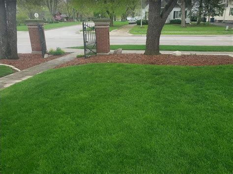 We put the care back in lawn care. Four Seasons Yard Care - Lawn Care Service - Pella, IA