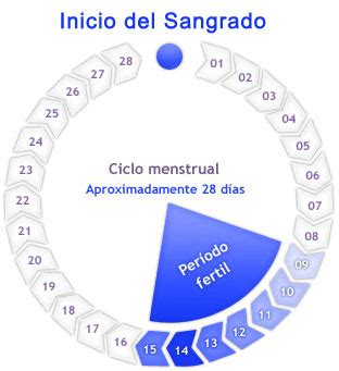Collection Of Calendario De Ovulacin Para Quedar Embarazada