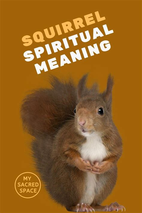 What Does A Squirrel Spirit Animal Mean And Symbolize My Sacred