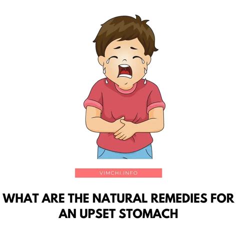 What Are The Natural Remedies For An Upset Stomach Vim Chi