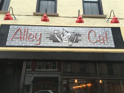 Alley Cat Blues And Jazz Club Hudson Valley Bands