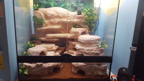 Finished Project With Gecko On Top Leopard Gecko Diy Leopard Gecko