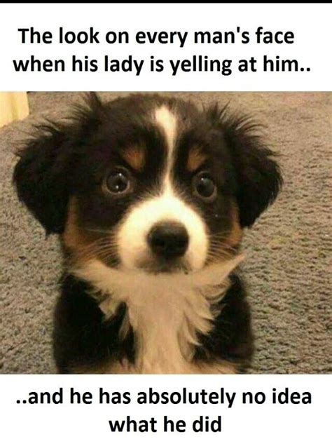The internet has had a corrupt influence on most of us! Innocent hurt pupper - Meme by Aezeks :) Memedroid