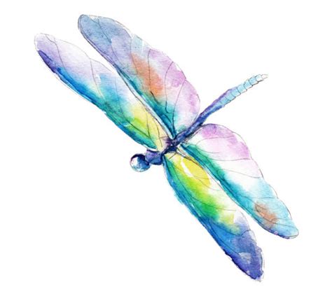 Silhouette Of A Watercolor Dragonfly Illustrations Royalty Free Vector