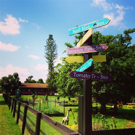 On the less expensive end of the spectrum, classic cedar fencing is more durable than softer woods like pine. New road signs for garden fence. | Dream garden, Garden ...