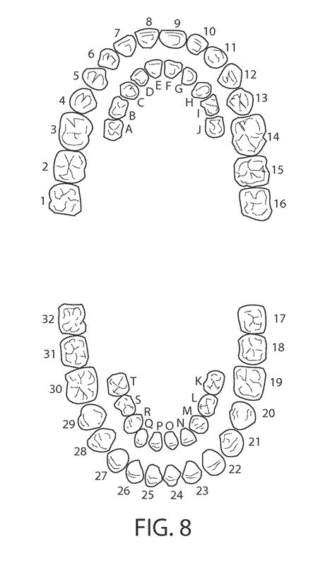 Printable Tooth Numbering Chart