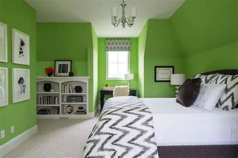 The walls are painted a lime green color and the comforter on the bed is a hot pink with zebra print pillows and bed skirt. Lime Green Paint Colors, Contemporary, Girl's Room ...