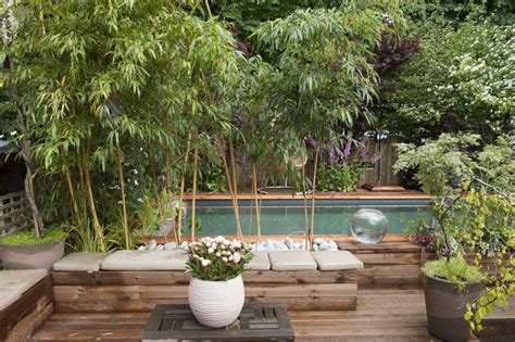 Any plastic, resin, stone, wooden, steel, zinc planters will do the job. The Best Tall Plants to Grow in Containers