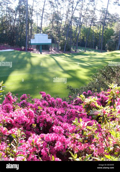Augusta National Golf Course 2009 Masters Stock Photo Alamy