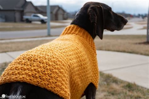 Large Dog Sweater Crochet Pattern Free Post Stitches Are Used At The