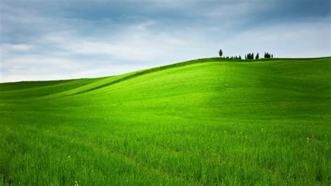 Wallpaper Trees Landscape Hill Nature Sky Field Green Farm