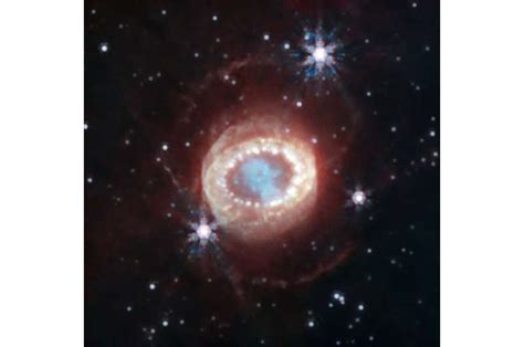 Webb Reveals New Structures Within Iconic Supernova Astronomymedia