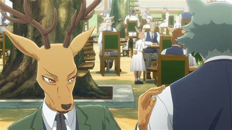 Beastars Wallpapers High Quality Download Free