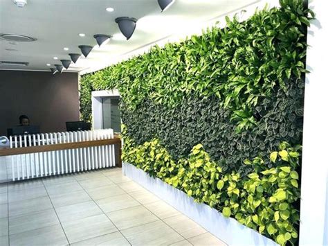 Live Vertical Green Wall At Rs 1350square Feet Green Walls Id