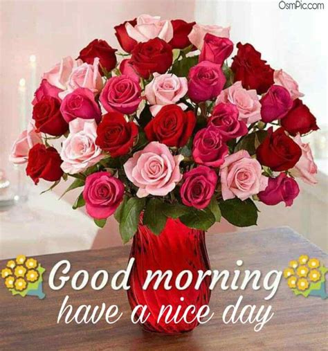 55 Good Morning Rose Flowers Images Pictures With Romantic Red Roses