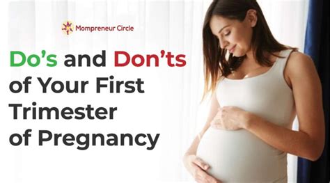 Precautions To Take During The First Trimester Of Pregnancy Dos And