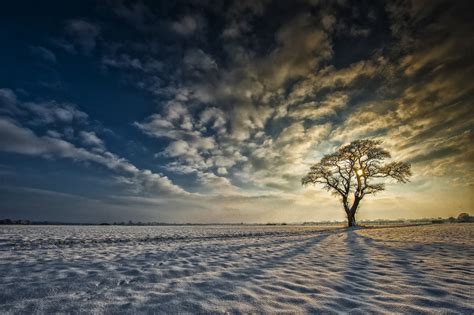 Yorkshire England Snow Tree Sunrise Clouds Winter