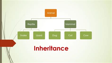 C Program To Demonstrate Inheritance Mycplus C And C