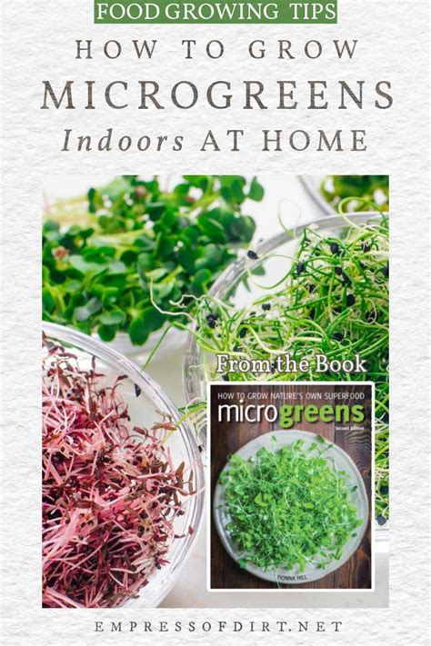 How To Grow Microgreens Indoors Empress Of Dirt
