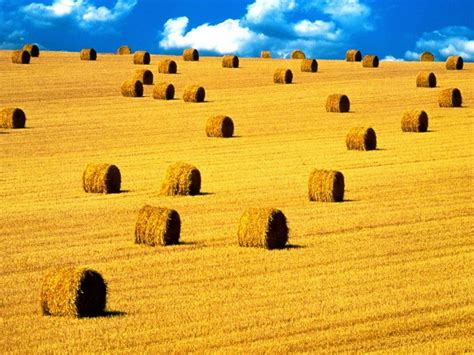 517480 Straw Field Landscape Haystacks Hay Sunset Fall Farm Wallpaper