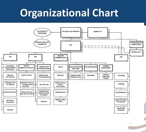 Cfo Organization Chart
