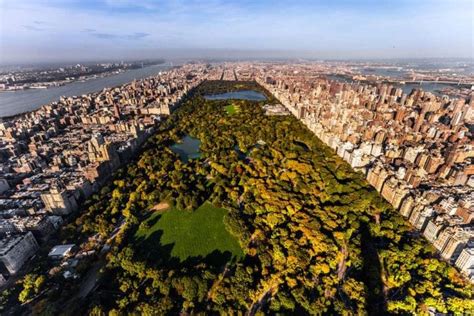 Central Parkta Yapılacak Şeyler Farklı Aktivite Biletbayi