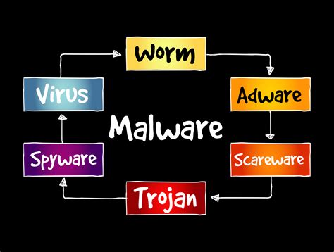 What Are The Different Types Of Malware IT Briefcase