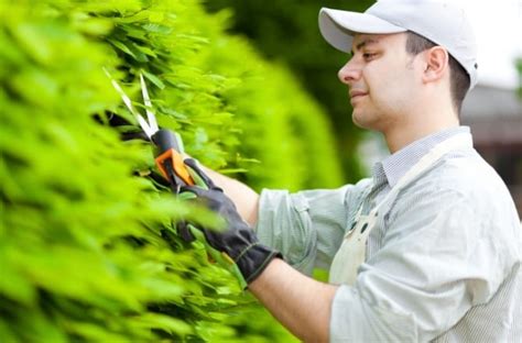 Devenir Jardinier : missions, salaire et formations | Centenaire Magazine
