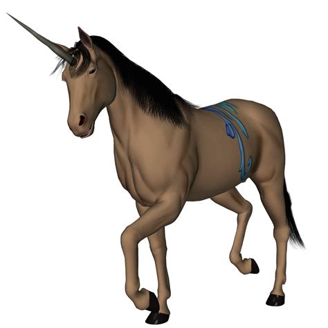 Unicorn Horse Fantasy Free Image On Pixabay