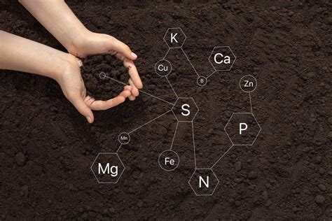 The 5 Components Of Healthy Soil Natures Select Triangle