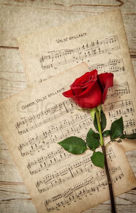 Red Rose Flower And Music Notes Sheet Stock Image Colourbox