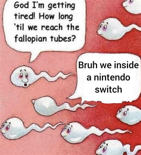 Bruh We Inside A Nintendo Switch Two Sperm Cells Talking Know Your Meme