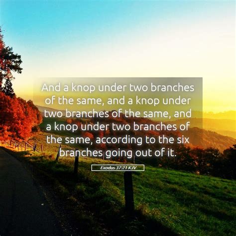 Exodus 3721 Kjv And A Knop Under Two Branches Of The Same And A