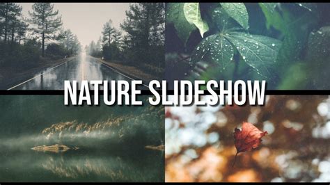 Nature Slideshow After Effects Templates Motion Array