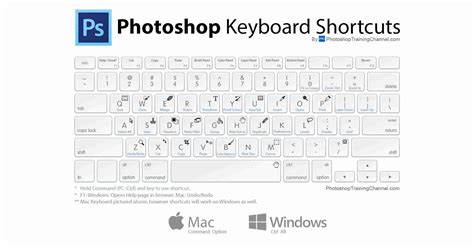 Photoshop Keyboard Shortcuts Visual Guide Cheat Sheet Photoshop Vrogue