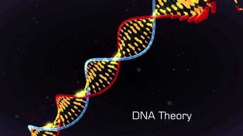 Dna Theory Animation Dna Theories Animation Video Work Animation