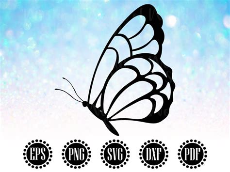 Butterfly Design Svg