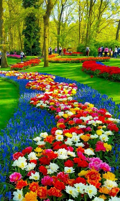 Beautiful Flower Garden Images Hd 80 000 Best Flower Garden Photos