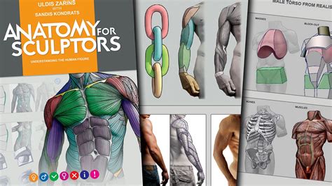Anatomy For Sculptors Book Preview🔥 Understanding The Human Figure By